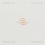 8150 29132 TRISCAN Гальмівний шланг