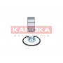 5600082 KAMOKA Комплект підшипника ступиці колеса