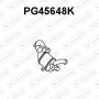 PG45648K VENEPORTE Катализатор