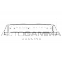 103899 AUTOGAMMA Интеркулер