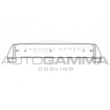 103899 AUTOGAMMA Интеркулер