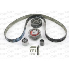 TBK5070.11 OPEN PARTS Комплект ременя ГРМ