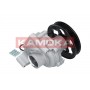 T0266 KAMOKA Водяний насос охолодження двигуна