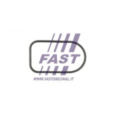 FT49425 FAST Прокладка впускного колектора
