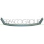 FD1072305 PRASCO Рамка облицювання радіатора