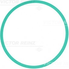 71-39302-00 VICTOR REINZ Прокладка впускного колектора