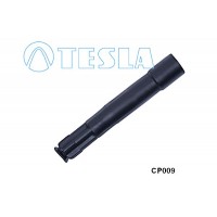CP009 TESLA Вилка, Свічка запалювання