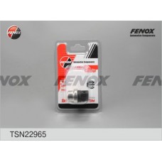 TSN22965 FENOX Датчик температура охолоджувальної рідини