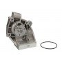 D1F041TT THERMOTEC Водяний насос охолодження двигуна