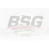 BSG 90-550-010 BSG Компенсаційний бак охолоджувальна рідина