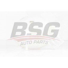 BSG 90-550-010 BSG Компенсаційний бак охолоджувальна рідина