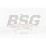 BSG 90-550-010 BSG Компенсаційний бак охолоджувальна рідина