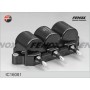 IC16081 FENOX Котушка запалювання