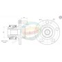 70-010062 MULTIPARTS Комплект підшипника ступиці колеса