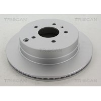 8120 101016C TRISCAN Гальмівний диск