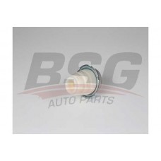 BSG 25-700-009 BSG Буфер амортизація