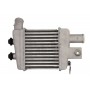Интеркулер THERMOTEC DA03003TT