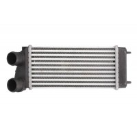 Интеркулер THERMOTEC DAC004TT