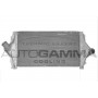 101844 AUTOGAMMA Интеркулер