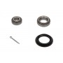 WBK-1006 KAVO PARTS Комплект підшипника ступиці колеса