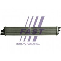 FT55210 FAST Радіатор охолодження двигуна