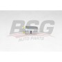 BSG 90-130-039 BSG Паливний фільтр