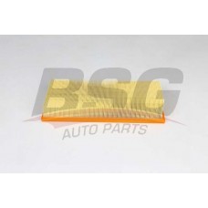 BSG 15-135-015 BSG Повітряний фільтр
