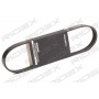305P0401 RIDEX Поліклиновий ремінь
