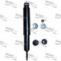 F220G1238 FISPA Амортизатор