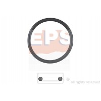 1.890.538 EPS Прокладка, термостат