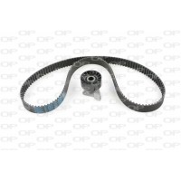 TBK5093.01 OPEN PARTS Комплект ременя ГРМ