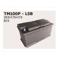 TM100P IPSA Стартерна акумуляторна батарея