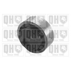 QTT100 QUINTON HAZELL Натяжний ролик ремінь ГРМ