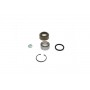 WBK-8509 KAVO PARTS Комплект підшипника ступиці колеса