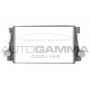 107506 AUTOGAMMA Интеркулер