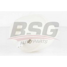 BSG 90-550-002 BSG Компенсаційний бак охолоджувальна рідина