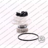 PAA123VLON DIPASPORT Водяний насос охолодження двигуна