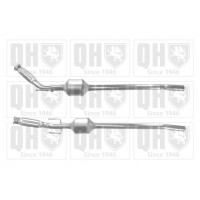 QCAT80060H QUINTON HAZELL Катализатор