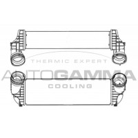 Интеркулер AUTOGAMMA 107307