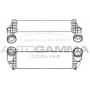 Интеркулер AUTOGAMMA 107307