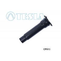 CP013 TESLA Вилка, Свічка запалювання
