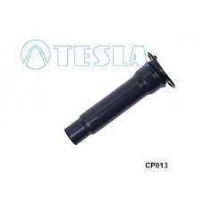 CP013 TESLA Вилка, Свічка запалювання