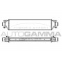 Интеркулер AUTOGAMMA 107317