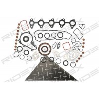 560F0054 RIDEX Комплект прокладок двигун