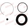 114-0289 QUICK BRAKE Ремкомплект, Гальмівний супорт