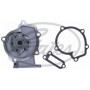WP0215 GATES Водяний насос охолодження двигуна