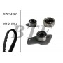 SZK24280 BTE Комплект ременя ГРМ
