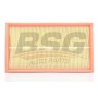 BSG 60-135-010 BSG Повітряний фільтр