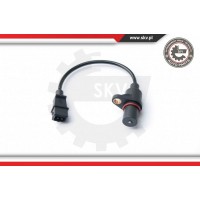 17SKV303 ESEN SKV Датчик імпульсів