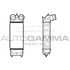 105889 AUTOGAMMA Интеркулер